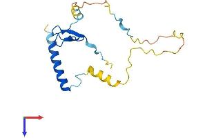AlphaFold protein structure predicition of Human Recombinant C16orf87 Protein, UniprotID Q6PH81