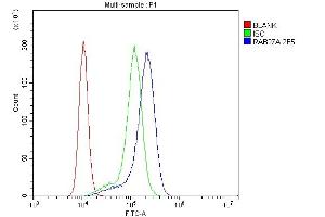 Flow Cytometry analysis of K562 cells using anti-RAB27A antibody (ABIN7602714).