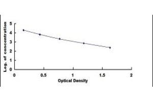 Typical standard curve (PROK2 ELISA Kit)