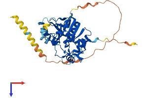 ST6GALNAC5 Protein (AA 1-336) (His tag)