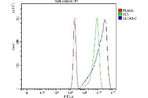 Flow Cytometry analysis of U20S cells using anti-SLC40A1 antibody (ABIN7599484).