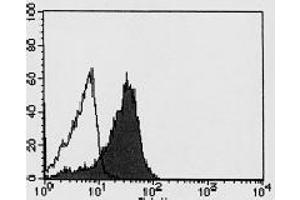 Flow Cytometry (FACS) image for anti-Glycoprotein M6A (GPM6A) antibody (ABIN1107419) (GPM6A Antikörper)