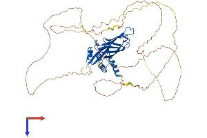 AF9 Protein (AA 1-568) (His tag)