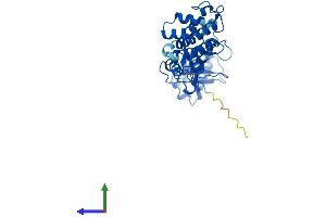 Protein Structure (PS) image for DNA Fragmentation Factor, 40kDa, beta Polypeptide (Caspase-Activated DNase) (DFFB) (AA 1-338) protein (His tag) (ABIN7547055)