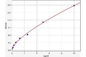 Retinoblastoma 1 ELISA Kit