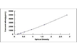 S100 Calcium Binding Protein A4 (S100A4) ELISA Kit