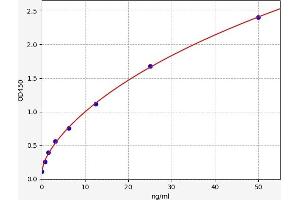 ATOH1 ELISA Kit