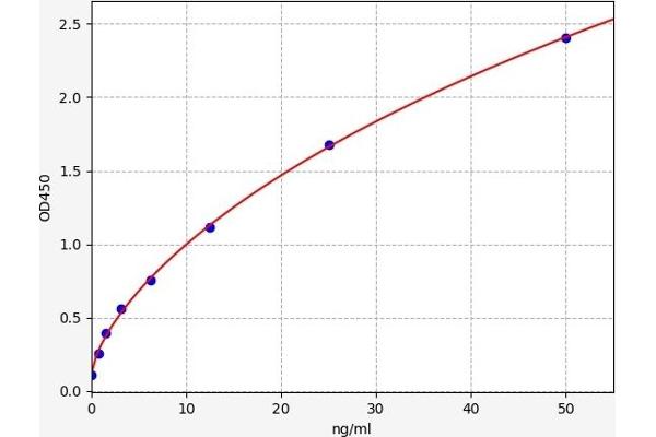 ATOH1 ELISA Kit