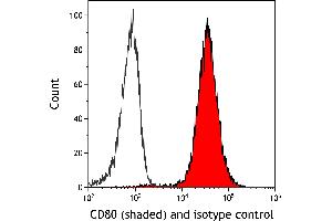 Flow Cytometry (FACS) image for anti-CD80 (CD80) (AA 35-246) antibody (ABIN7449415) (Rekombinanter CD80 Antikörper  (AA 35-246))