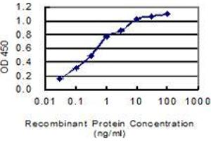 Detection limit for recombinant GST tagged MAST4 is 0. (MAST4 Antikörper  (AA 2605-2699))