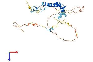 SPRY2 Protein (AA 1-315) (His tag)