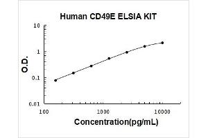 Integrin, alpha 5 (ITGA5) ELISA Kit