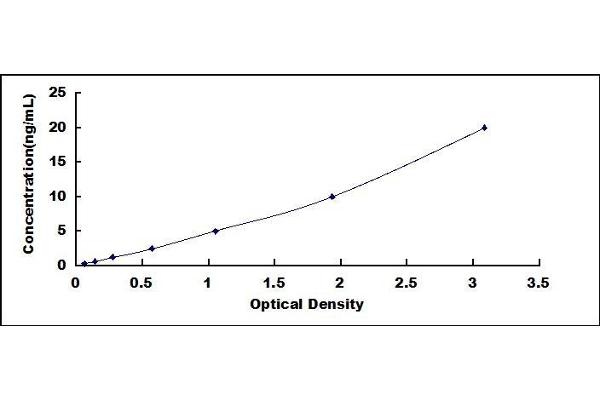 Endothelin-1 Receptor ELISA Kit