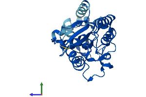 Protein Structure (PS) image for phosphoglycerate Mutase 2 (Muscle) (PGAM2) (AA 1-253) protein (His tag) (ABIN7550657)