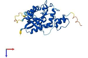 NMNAT3 Protein (AA 1-245) (His tag)