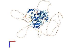 MARK1 Protein (AA 1-795) (His tag)