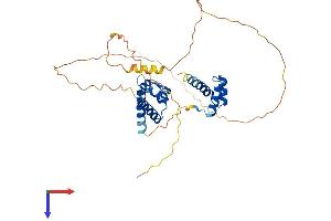 POU4F3 Protein (AA 1-338) (His tag)