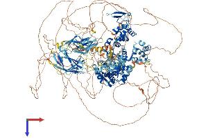 HECW2 Protein (AA 1-1572) (His tag)