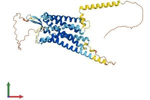 Protein Structure (PS) image for Arginine Vasopressin Receptor 1A (AVPR1A) (AA 1-418) protein (His tag) (ABIN7545011)