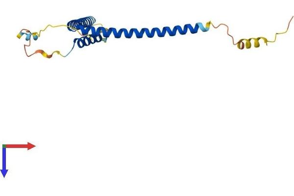 MED28 Protein (AA 1-178) (His tag)