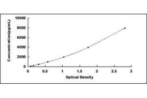 Typical standard curve (CH25H ELISA Kit)