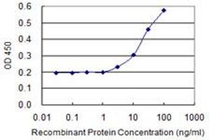 Detection limit for recombinant GST tagged HOMER1 is 1 ng/ml as a capture antibody. (HOMER1 Antikörper  (AA 1-354))