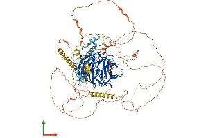 AlphaFold protein structure predicition of Mouse Recombinant Dcaf5 Protein, UniprotID Q80T85 (DCAF5 Protein (AA 1-946) (His tag))