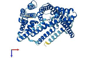 HHATL Protein (AA 1-504) (His tag)