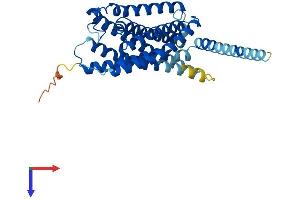 P2RY14 Protein (AA 1-338) (His tag)
