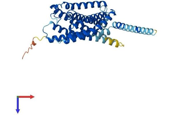 P2RY14 Protein (AA 1-338) (His tag)