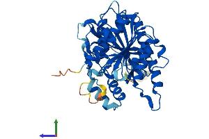 Protein Structure (PS) image for Platelet-Activating Factor Acetylhydrolase 2, 40kDa (PAFAH2) (AA 1-392) protein (His tag) (ABIN7550613)