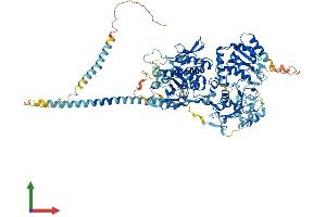 Protein Structure (PS) image for Exostoses (Multiple)-Like 3 (EXTL3) (AA 1-919) protein (His tag) (ABIN7553826)