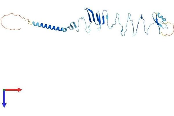 SGCZ Protein (AA 1-299) (His tag)