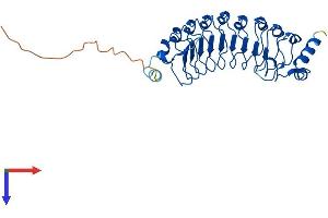 AlphaFold protein structure predicition of Mouse Recombinant Lrrc30 Protein, UniprotID Q3UV48