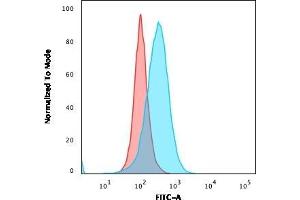 Flow Cytometry (FACS) image for anti-CD5 (CD5) (AA 269-366) antibody (ABIN6941056)