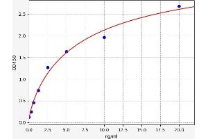 Phospholipase C gamma 2 ELISA Kit