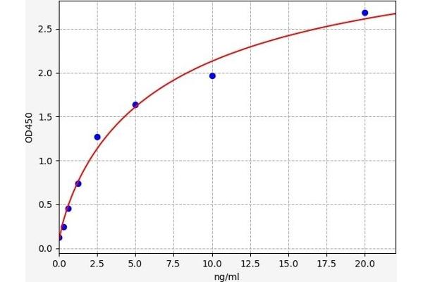 Phospholipase C gamma 2 ELISA Kit