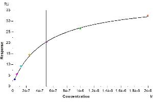 Surface Plasmon Resonance (SPR) image for Interleukin 5 (IL5) (AA 21-133) protein (His-Avi Tag) (ABIN7274959)
