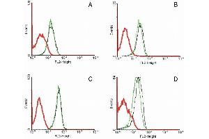 Flow cytometry analysis of 5-bromodeoxyuridin (BrdU) incorporation in CEM human acute lymphoblastic leukemia cell line using purified anti-5-bromodeoxyuridin (MoBu-1) (detection by Goat anti-mouse IgG1 FITC). (FAS Antikörper  (FITC))