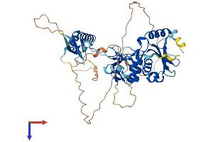 TSEN2 Protein (AA 1-465) (His tag)