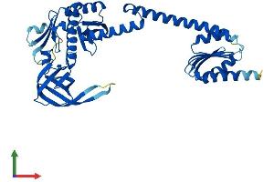 Protein Structure (PS) image for Alanyl-tRNA Synthetase Domain Containing 1 (AARSD1) (AA 1-412) protein (His tag) (ABIN7557060)