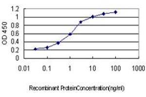 Detection limit for recombinant GST tagged CDC25A is approximately 0. (CDC25A Antikörper  (AA 151-250))