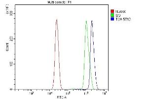Flow Cytometry analysis of U937 cells using anti-ITCH/AIP4 antibody (ABIN7600263). (ITCH Antikörper  (AA 17-358))