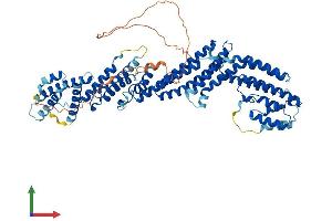 Protein Structure (PS) image for Tumor Necrosis Factor, alpha-Induced Protein 2 (TNFAIP2) (AA 1-691) protein (His tag) (ABIN7557694)