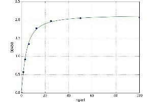 Anterior Pharynx Defective 1 Homolog A (C. Elegans) (APH1A) ELISA Kit