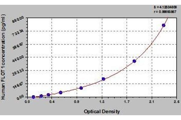 Flotillin 1 ELISA Kit