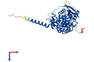 ABHD1 Protein (AA 1-405) (His tag)