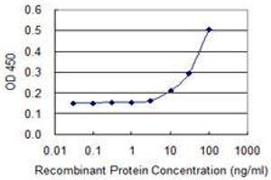 ELISA image for anti-Protein Phosphatase, Mg2+/Mn2+ Dependent, 1A (PPM1A) (AA 1-382) antibody (ABIN519084)