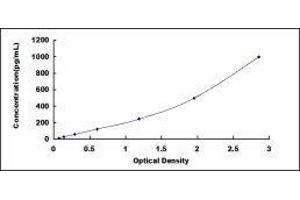 ELISA image for Galectin 3 (LGALS3) ELISA Kit (ABIN415692)