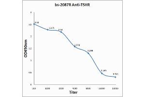 Antigen: 0. (TSH receptor Antikörper  (AA 201-300))